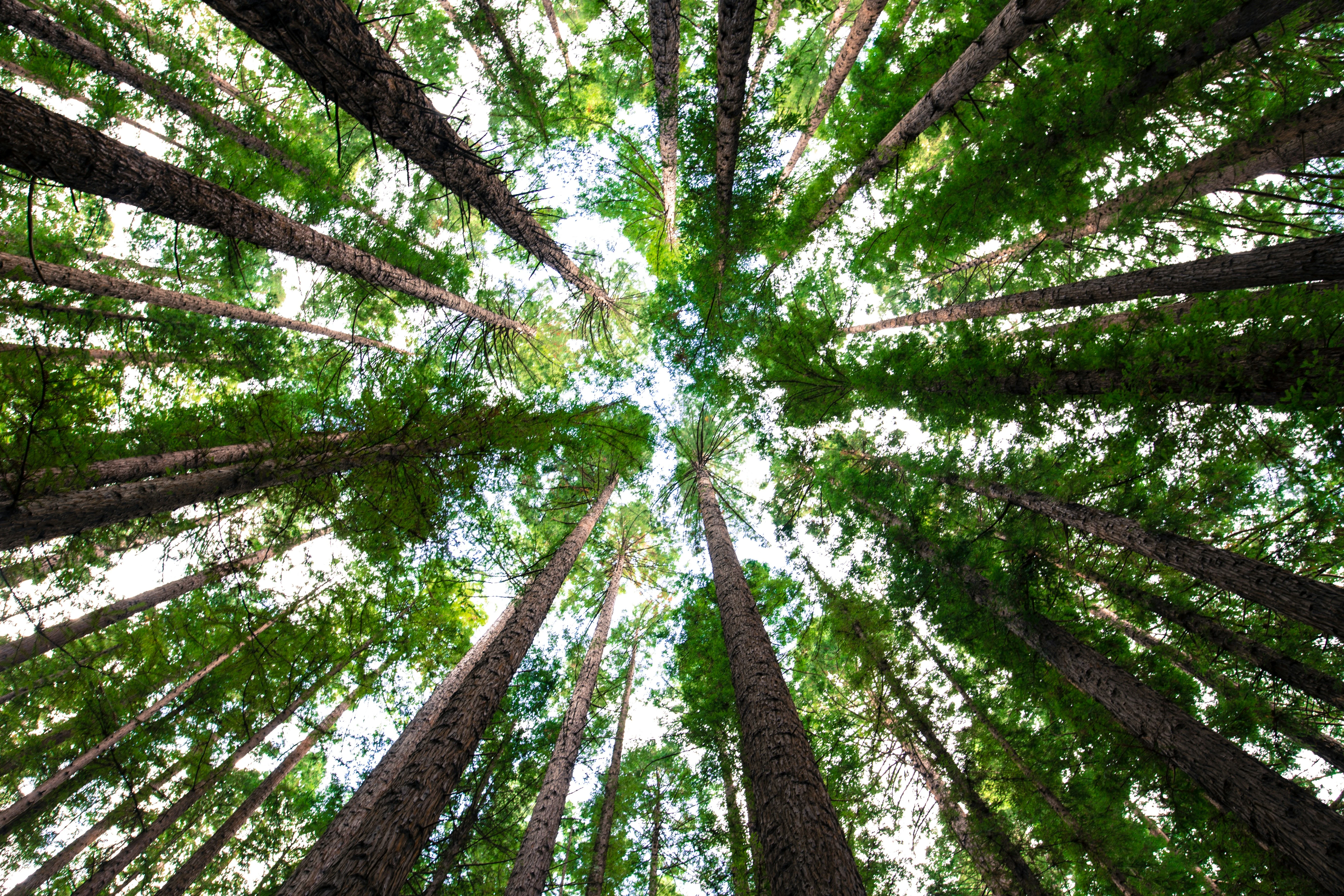 Climate & Environmental Impact